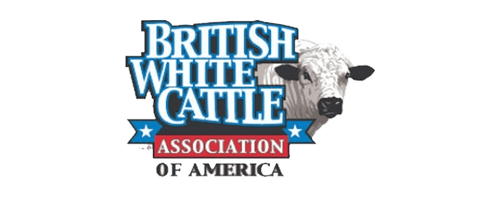 Logo of the British White Cattle Association of America featuring a white cow and bold, colorful text emphasizing the association's name and purpose.